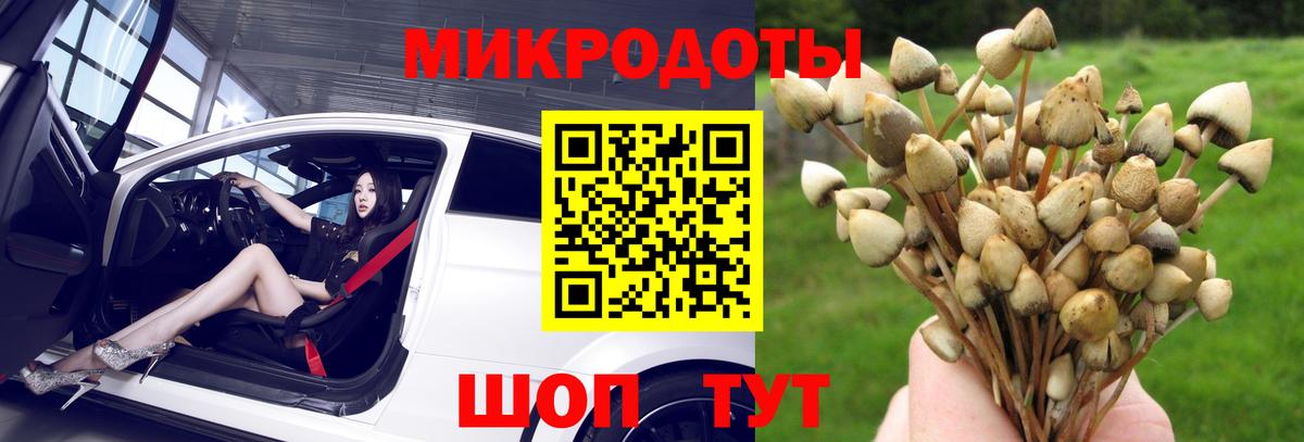 Северобайкальск  купить закладку  Вход с VPN  Галлюциногенные грибы Psilocybine cubensis 